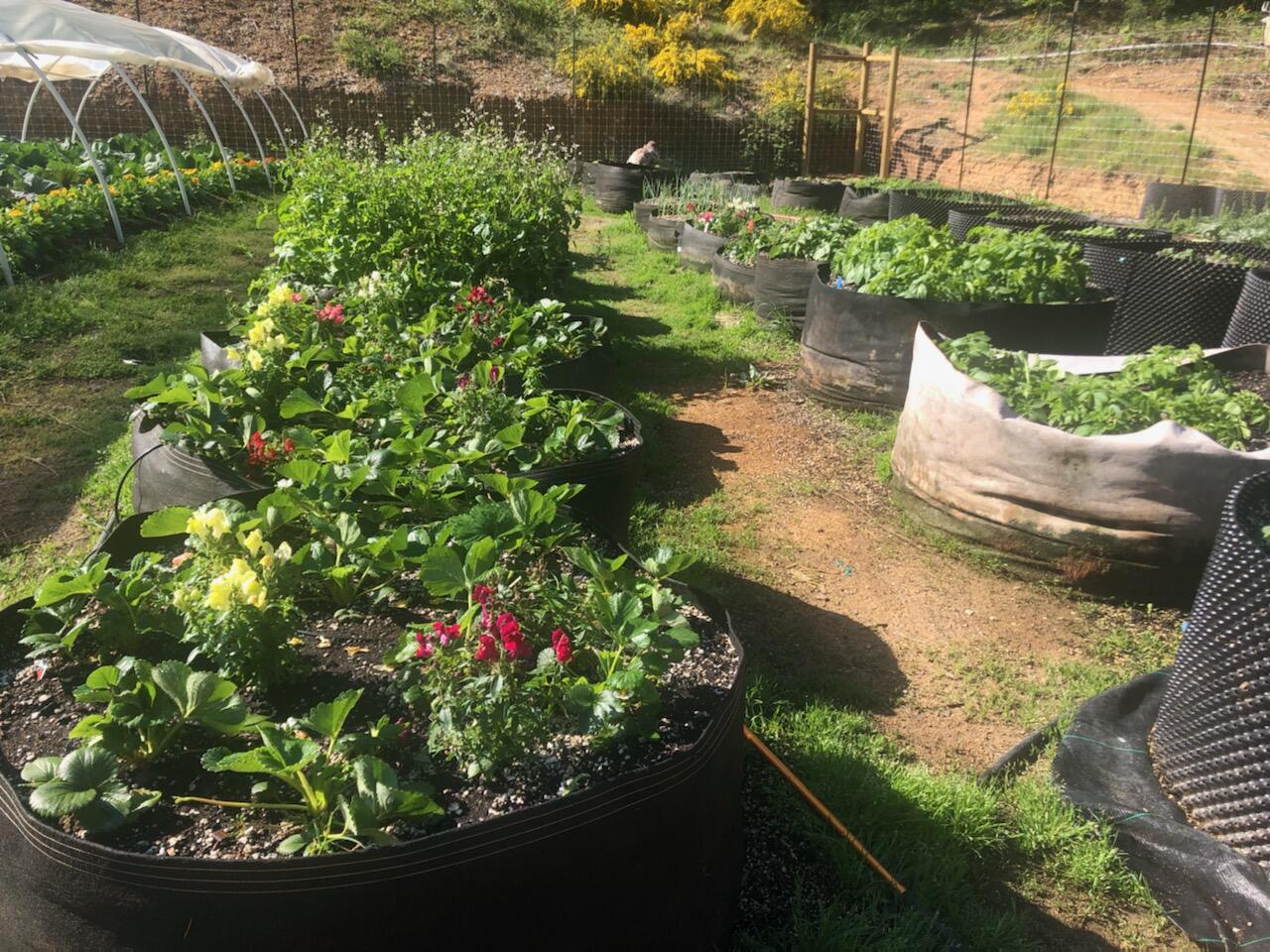 Ridgelea Terrace Subdivision - Residential