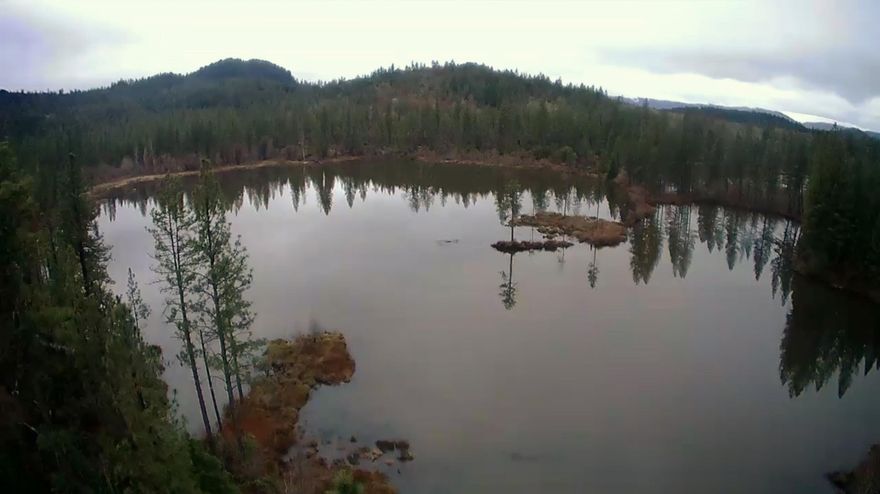 1,504.43 acres with 2 large spring-fed Lakes, legally known as the ''Esterly Lakes''. 3 streams & 1 pond are included in this beautiful unspoiled land. A combination of rangeland, grassland and rolling hills with tall-timbered trees of oak, fir, pine and madrone. Owned and loved by the same family for over 60 years. Privacy along with majestic views of the local mountains and still within 20 minutes of shopping. These 14 tax lots provide everything you would expect to find in a Southern Oregon wilderness. Paved and rural roads give easy access for family fun, hunting, fishing, trail-riding or building the amazing homestead of your dreams. Water Rights includes Mining, Irrigation, Livestock and Domestic Use that date back to the 1800's. Also part of the Rogue Valley Wine and Vineyard Appellation. Once, an Historic Gold Mine, the huge quarry was filled in by natural springs, and now supports the local wildlife, a variety of fish, Eagles, Osprey, Deer, Elk, Cougar and Bear.