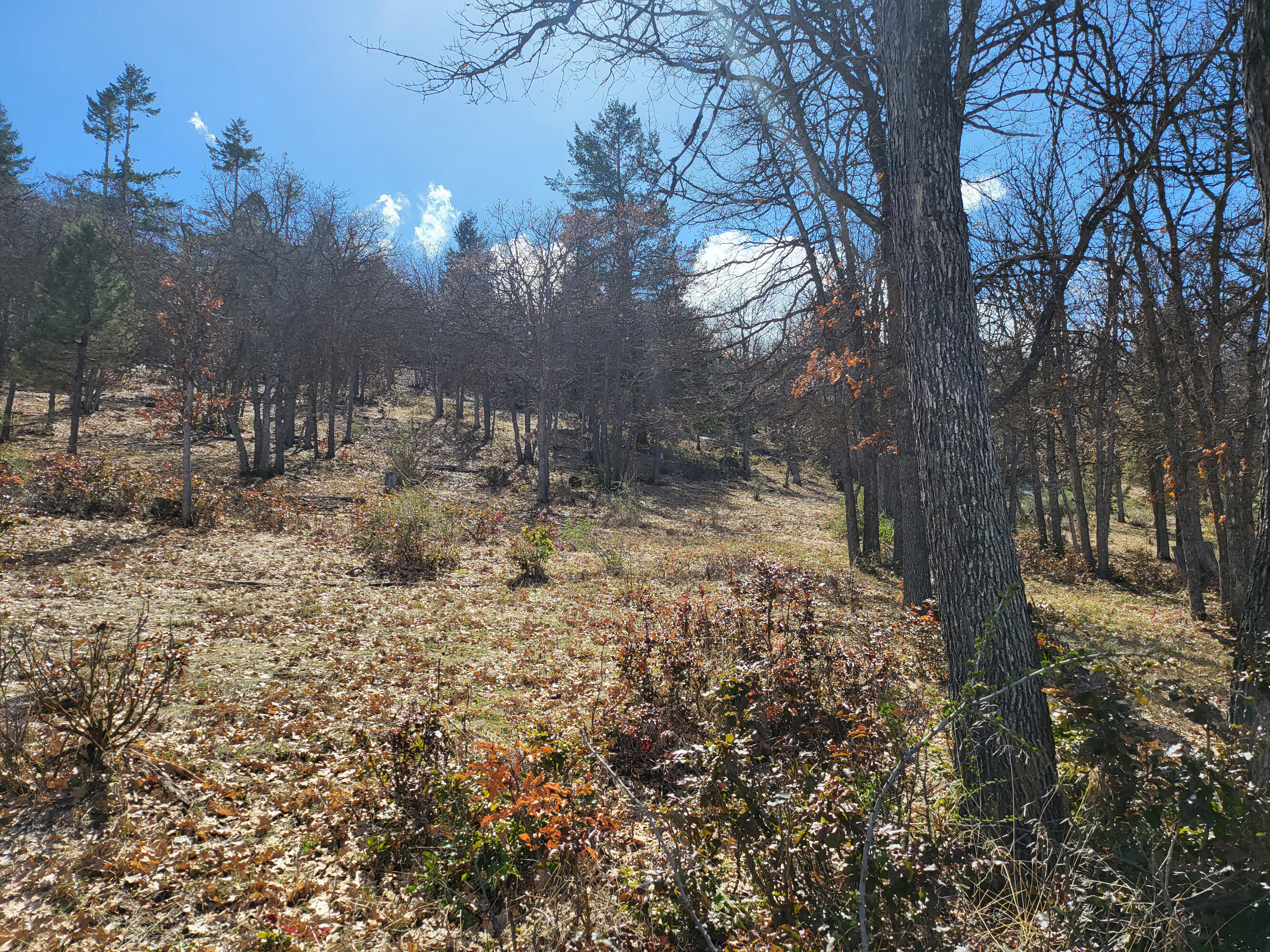 Running YResort - Land