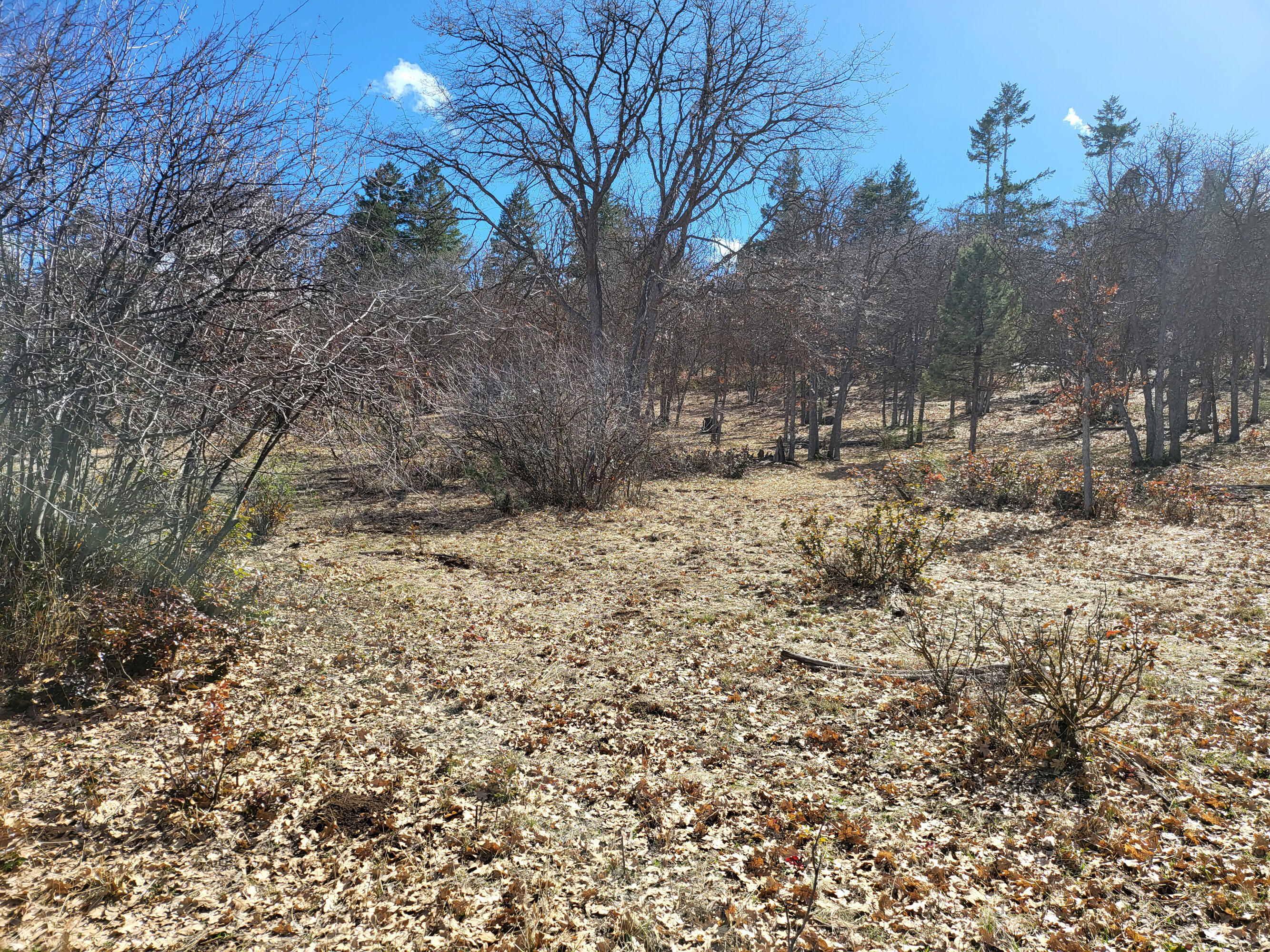 Running YResort - Land