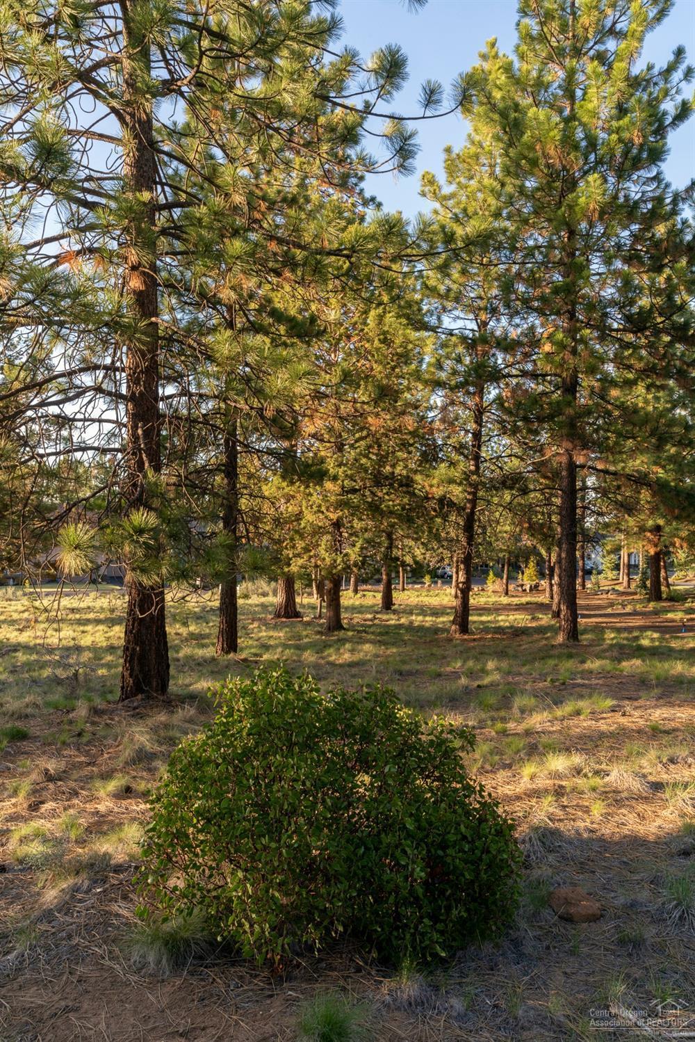 Parks At Broken Top - Land