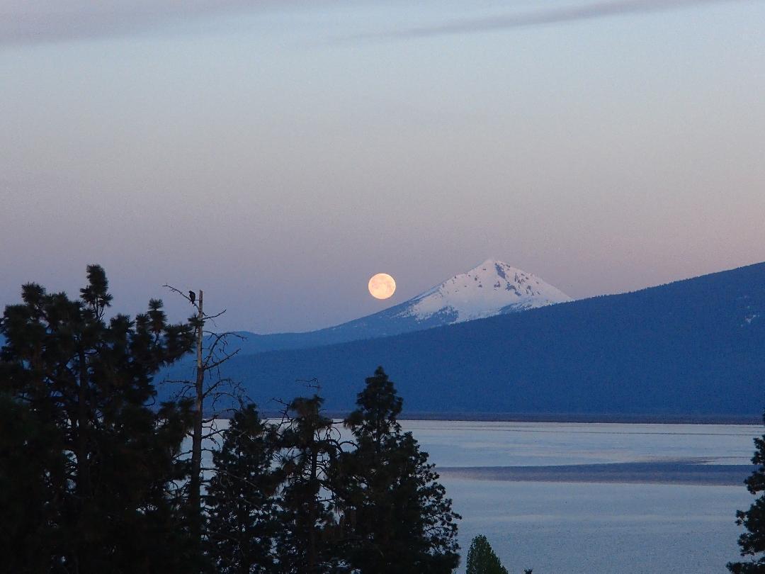 Oregon Shores -Unit 2 - Residential