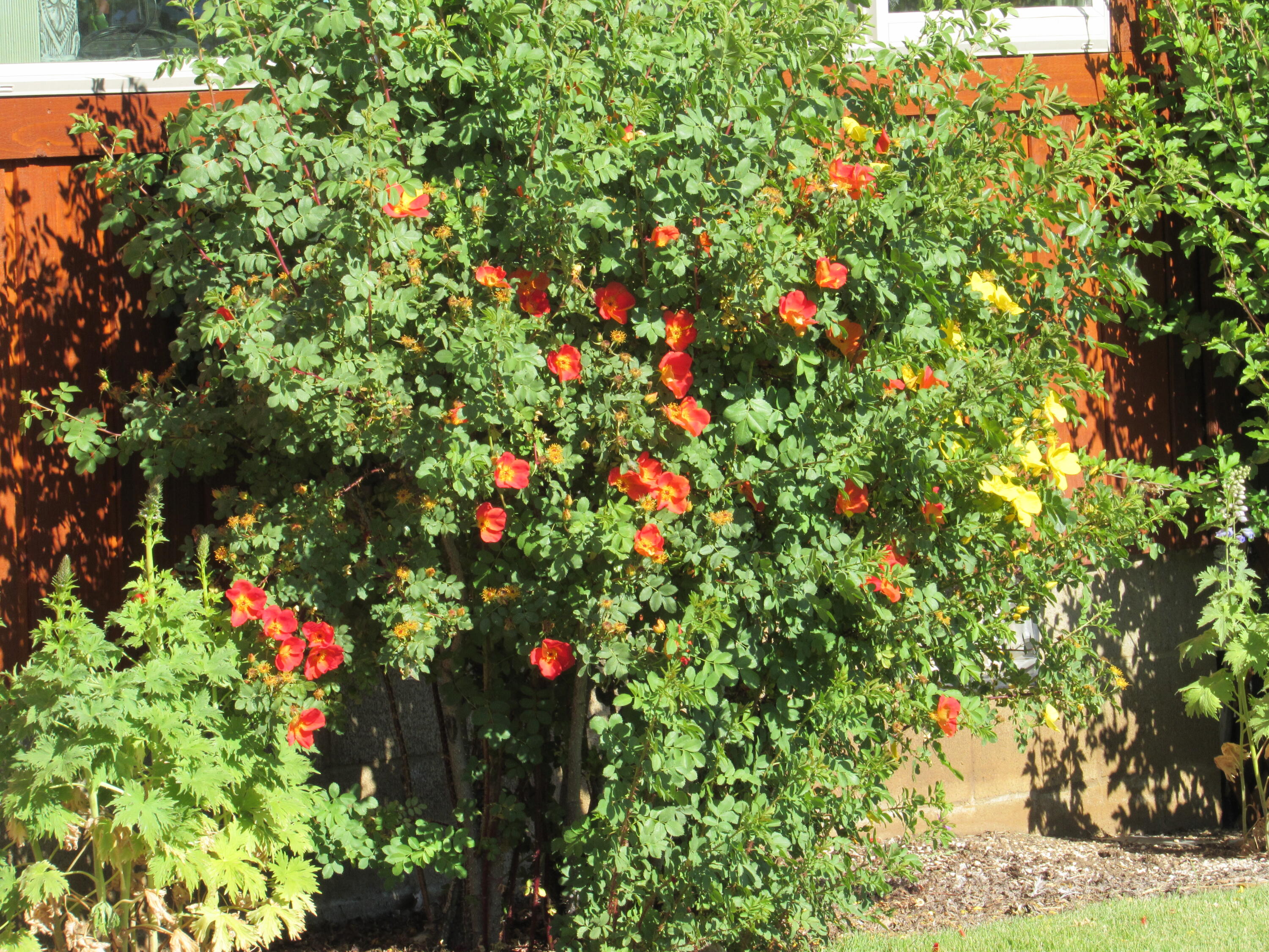 Oregon Shores -Unit 2 - Residential