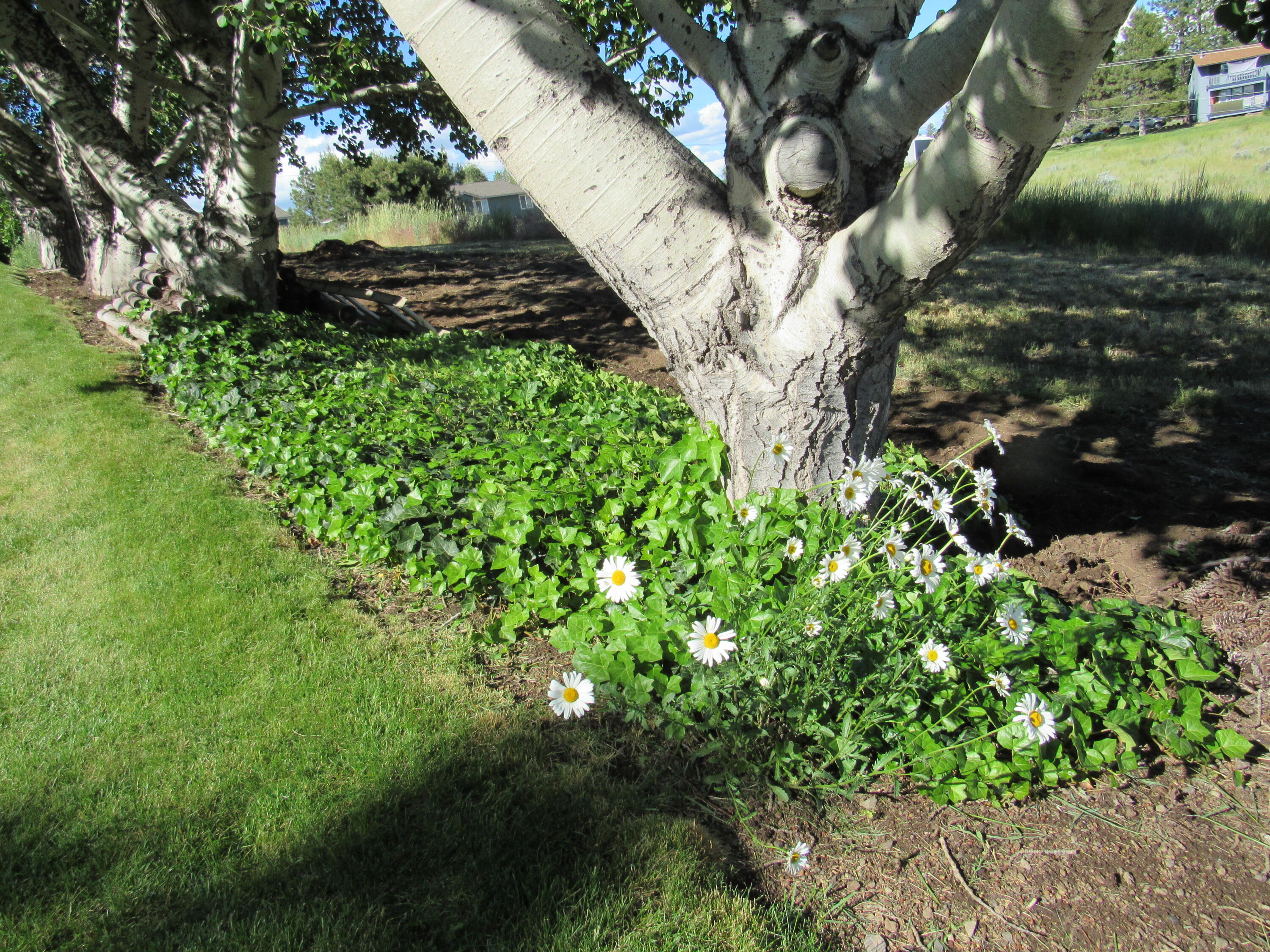 Oregon Shores -Unit 2 - Residential