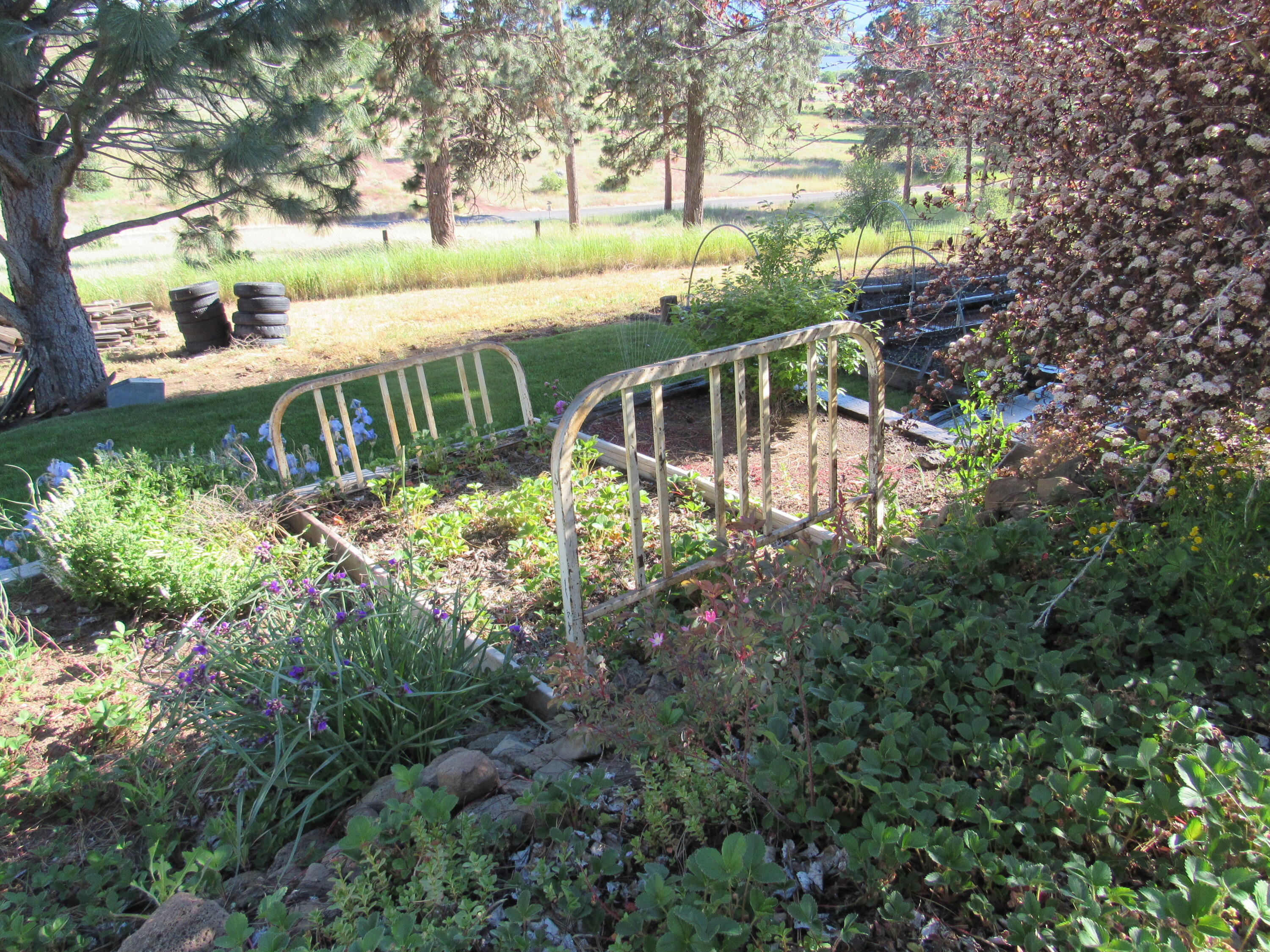 Oregon Shores -Unit 2 - Residential