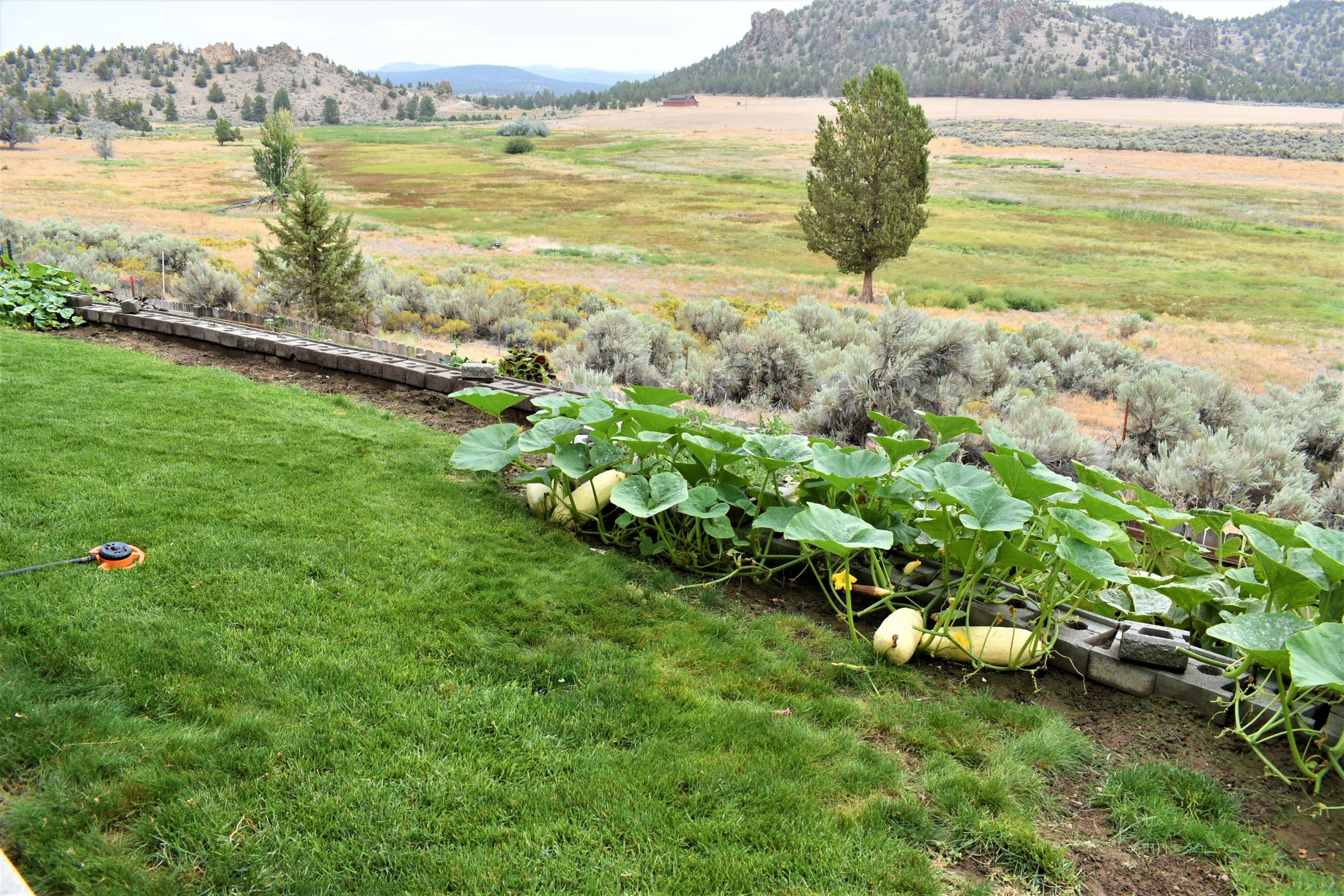 NorthR - Residential