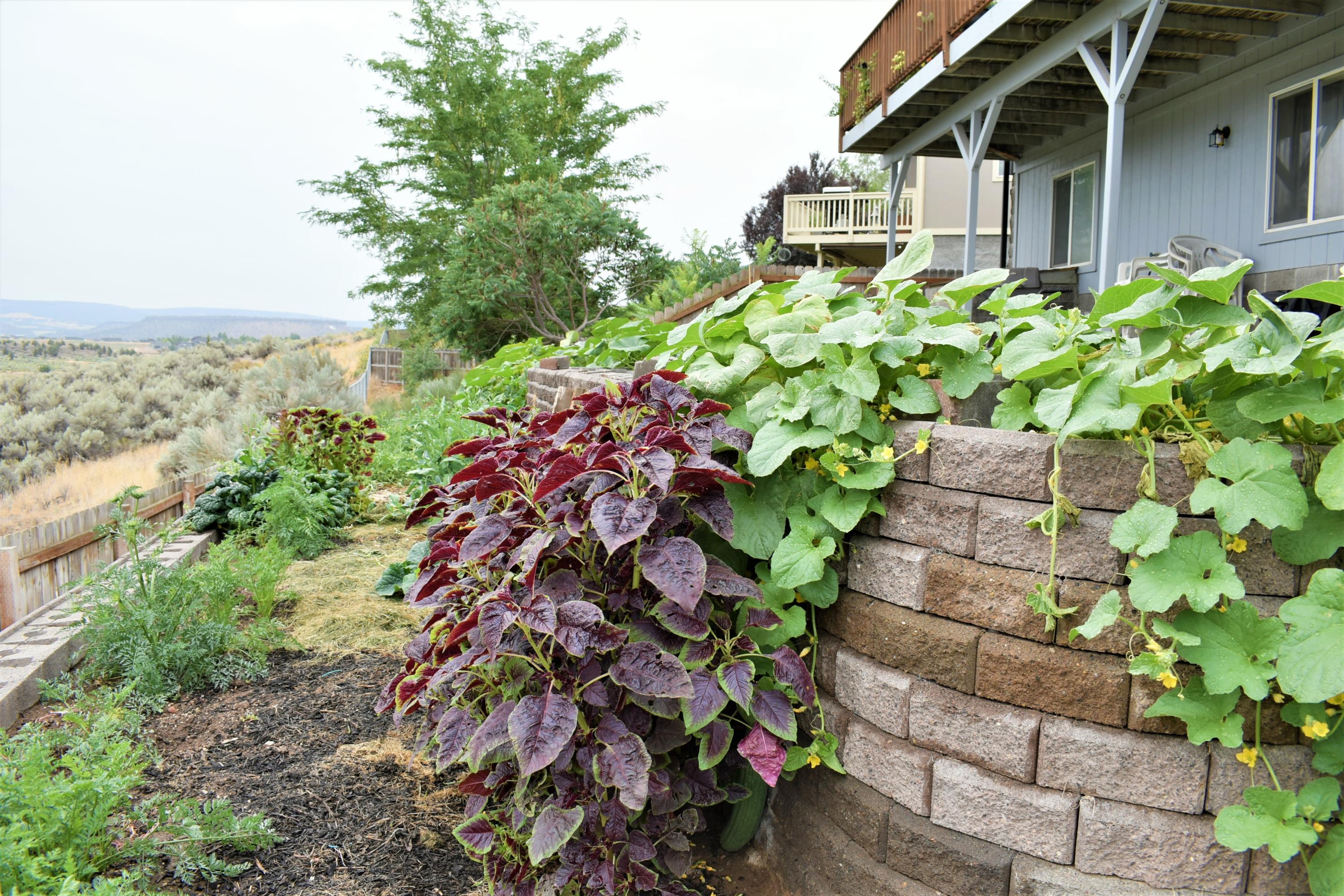 NorthR - Residential