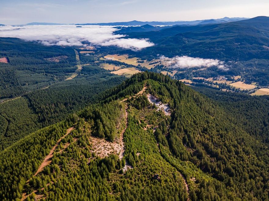 Hobart Butte offers just over 45 acres of secluded Lane County timberland—an ideal blend of recreation, natural beauty, and investment potential. With an estimated 200 MBF of merchantable timber, it provides near-term cash flow, while replanted Douglas-fir promises long-term income. Three sides border BLM land, greatly expanding recreational access and privacy. Wildlife is abundant—deer, elk, bear, bobcat, and more roam freely through the area. Enjoy hunting, hiking, or simply soaking in the peace and quiet. Set on a hilltop, the property features stunning vistas across the forested landscape, including valley views and even to Cottage Grove Lake. Roads have been improved for year-round access, and an on-site quarry offers pit run rock for future maintenance. Whether you're after a private retreat, a hunting base, or a solid timber investment, Hobart Butte is a rare opportunity packed with utility, beauty, and lasting value.