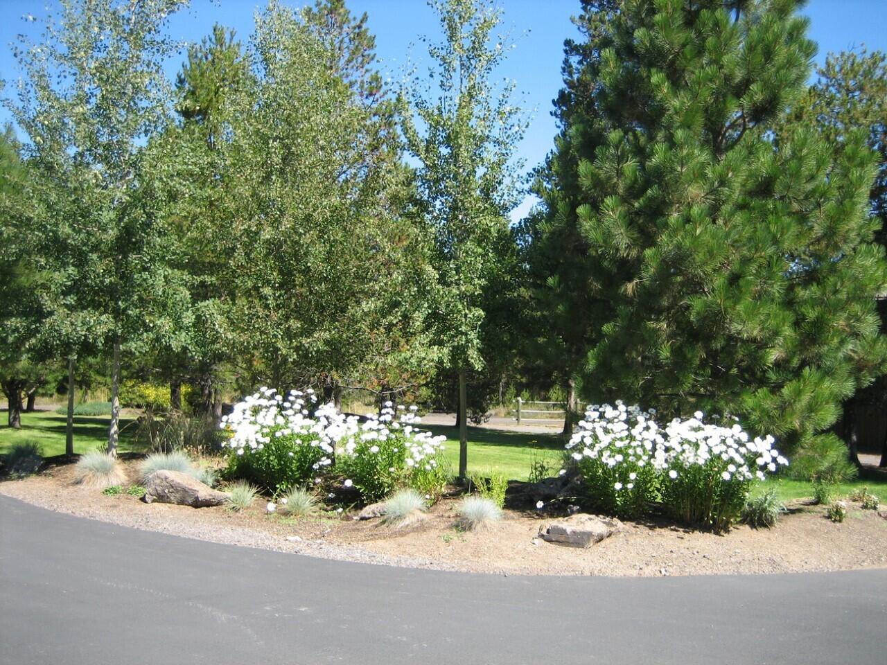 Desc Rvr Hmst Rimrk - Residential