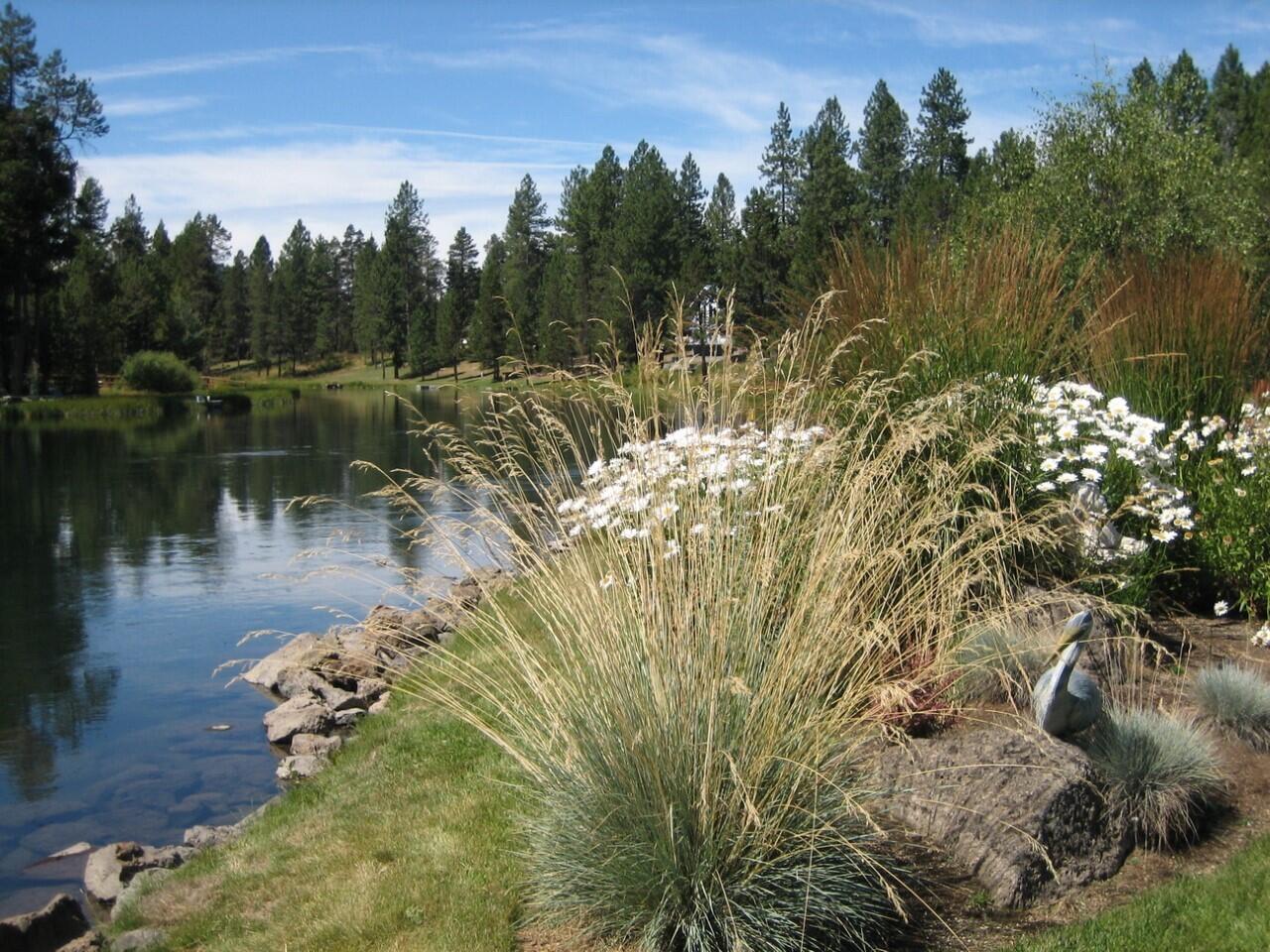 Desc Rvr Hmst Rimrk - Residential