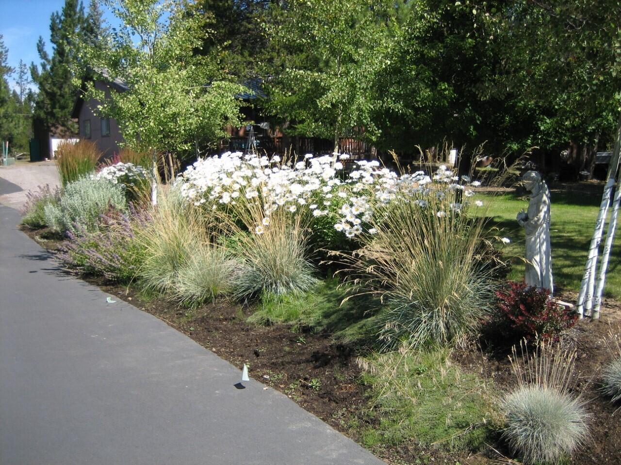 Desc Rvr Hmst Rimrk - Residential