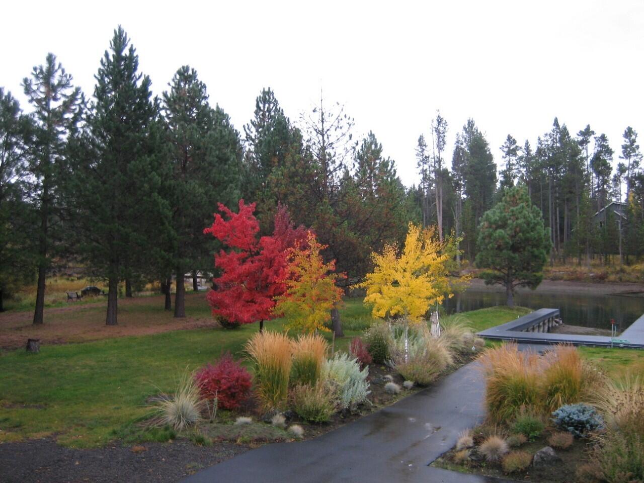 Desc Rvr Hmst Rimrk - Residential