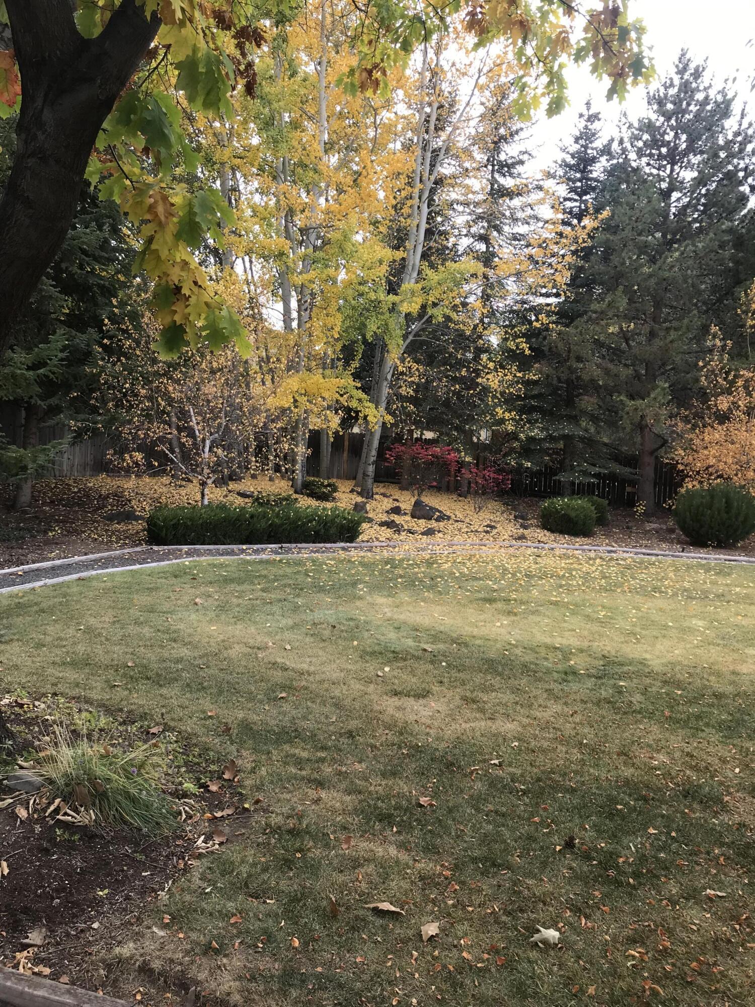 Diamond A. - Residential