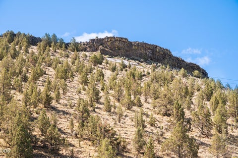 Tiny photo for 1029 SE Algonquian Loop, Prineville, OR 97754 (MLS # 220223055)