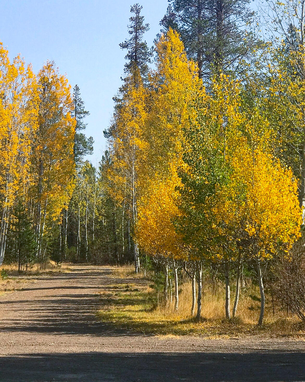 Antelope Meadows - Residential