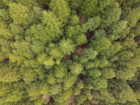 Tiny photo for 0 Sunny Valley Loop Road, Wolf Creek, OR 97497 (MLS # 220212238)