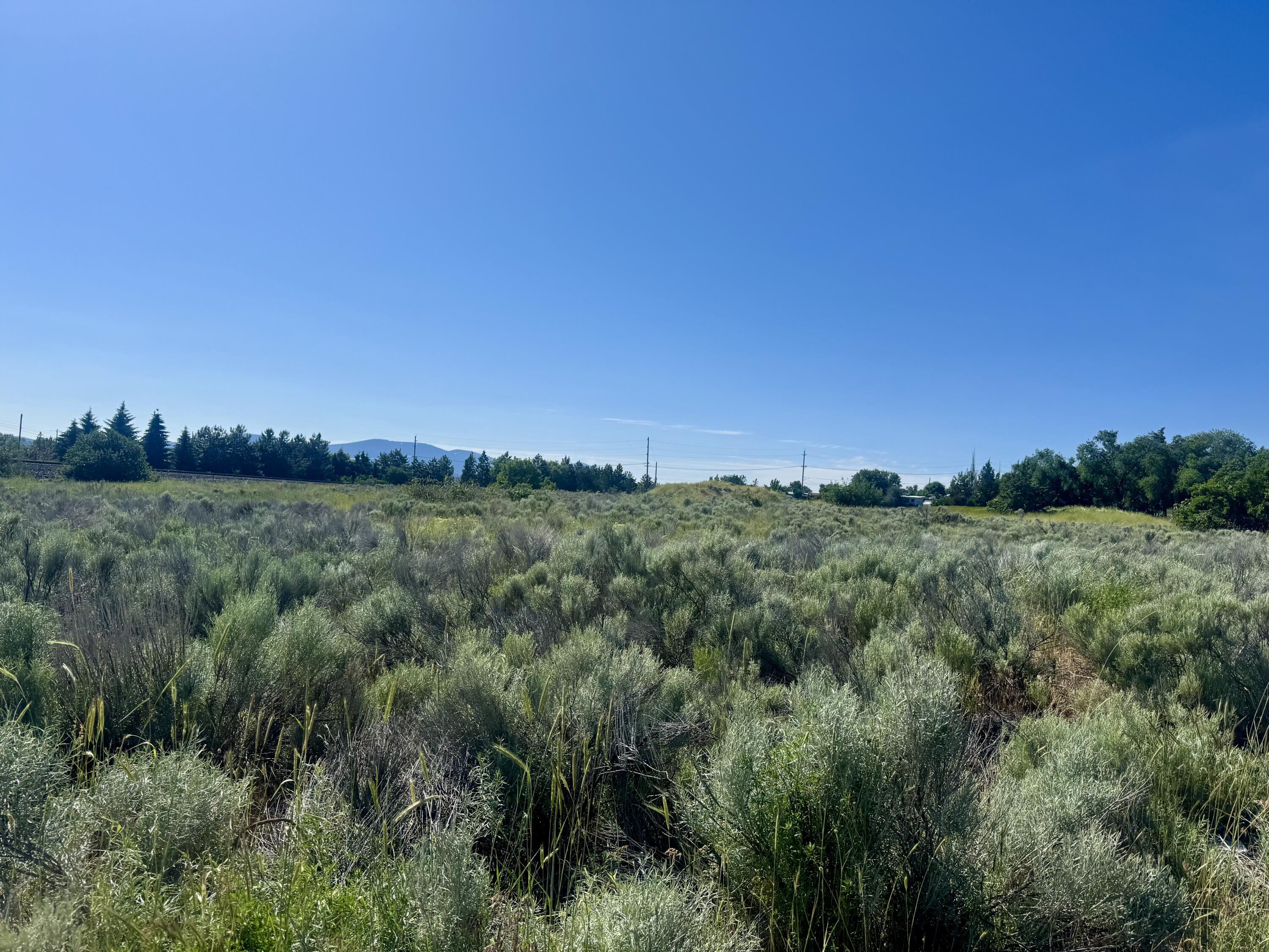 Pelican City - Commercial Sale