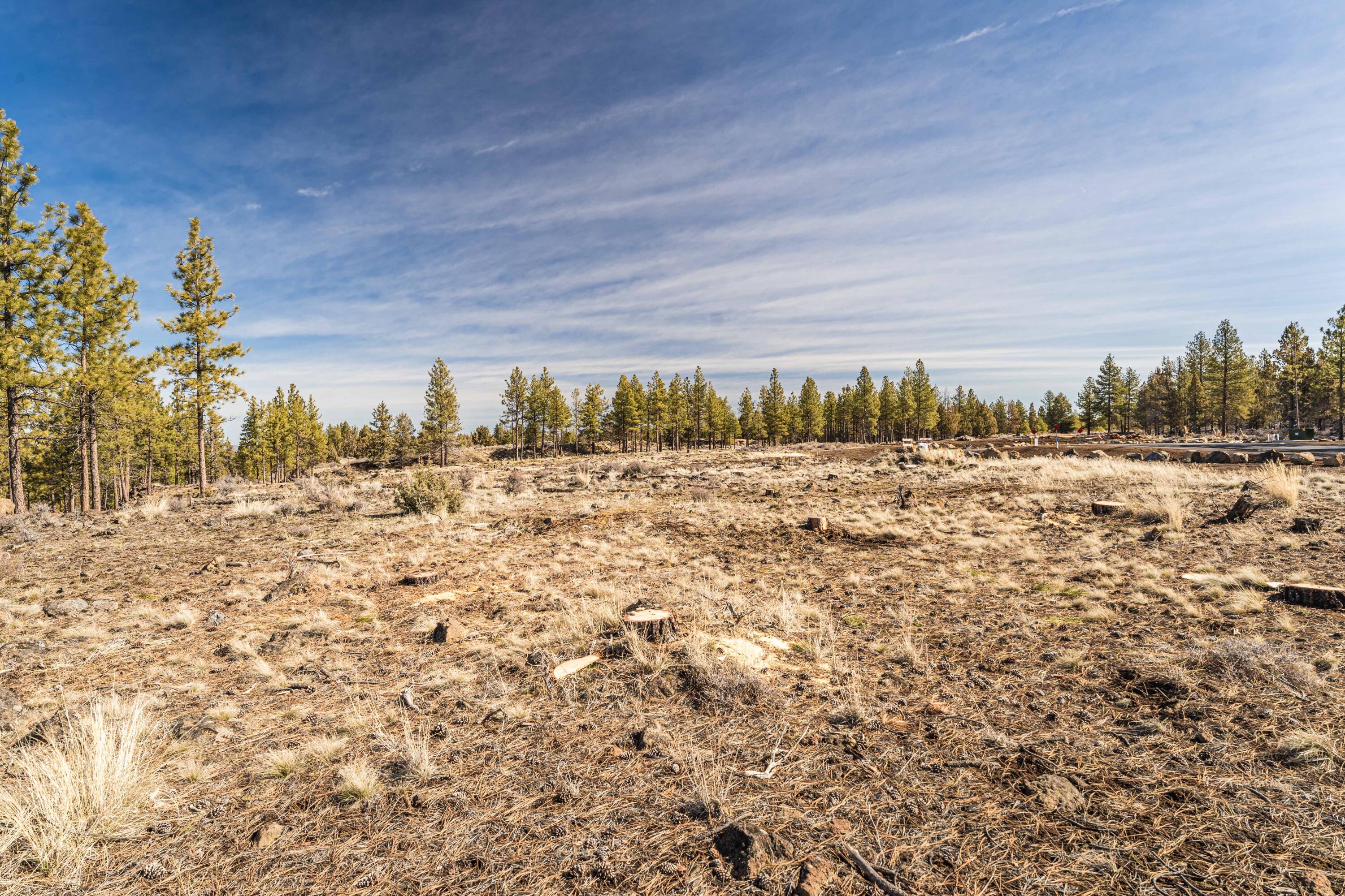 Skyline Ranch - Land