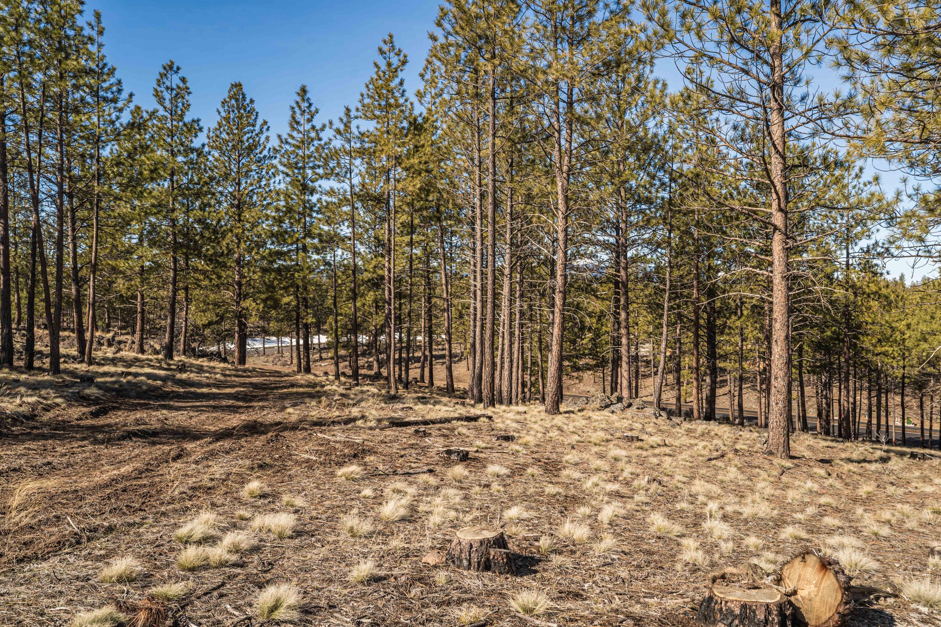 Skyline Ranch - Land