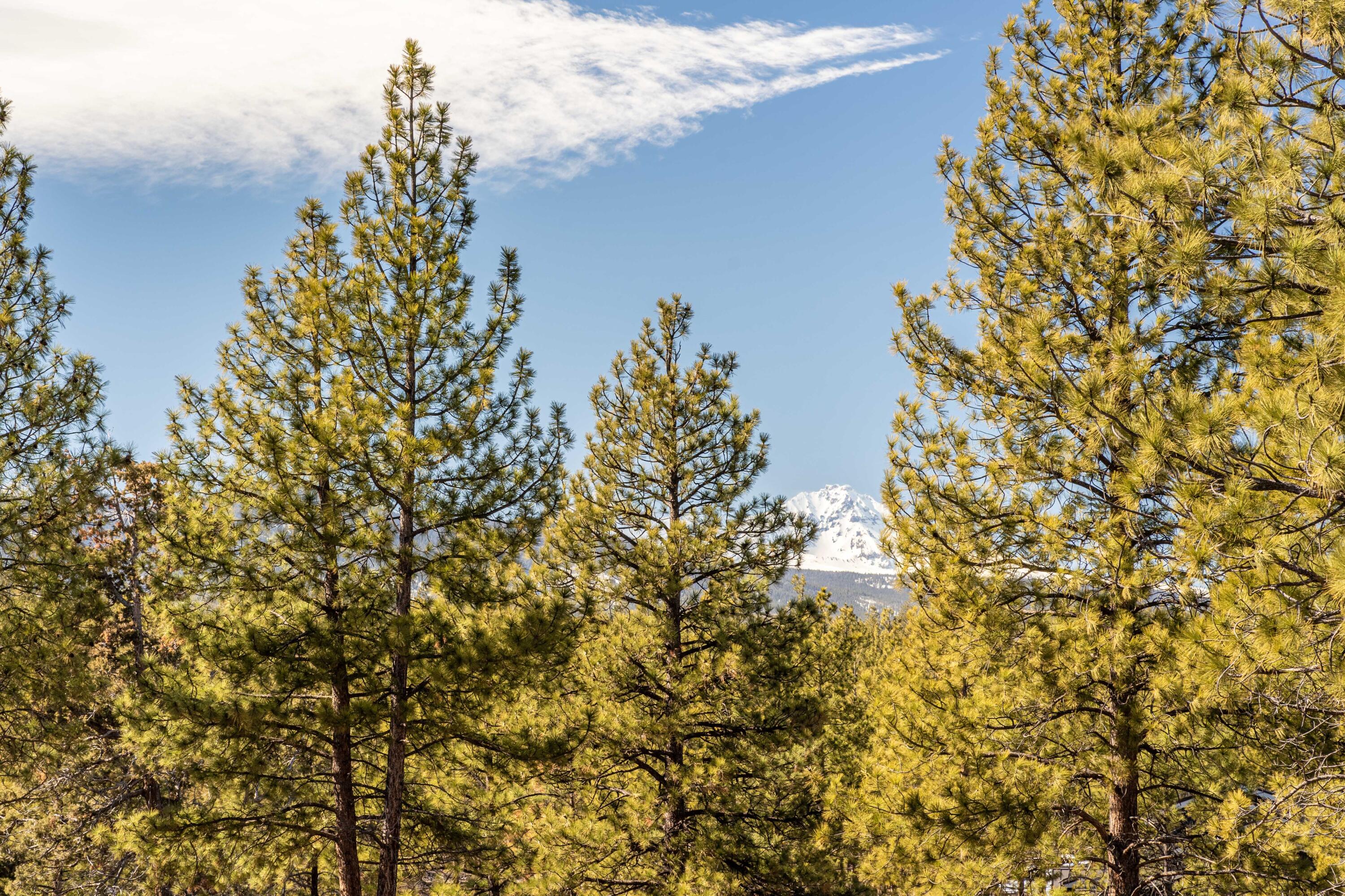 Skyline Ranch - Land