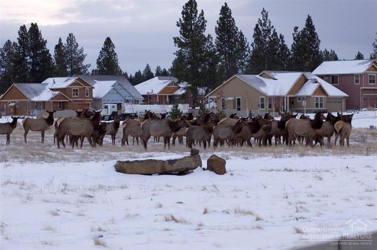 River Rim - Residential