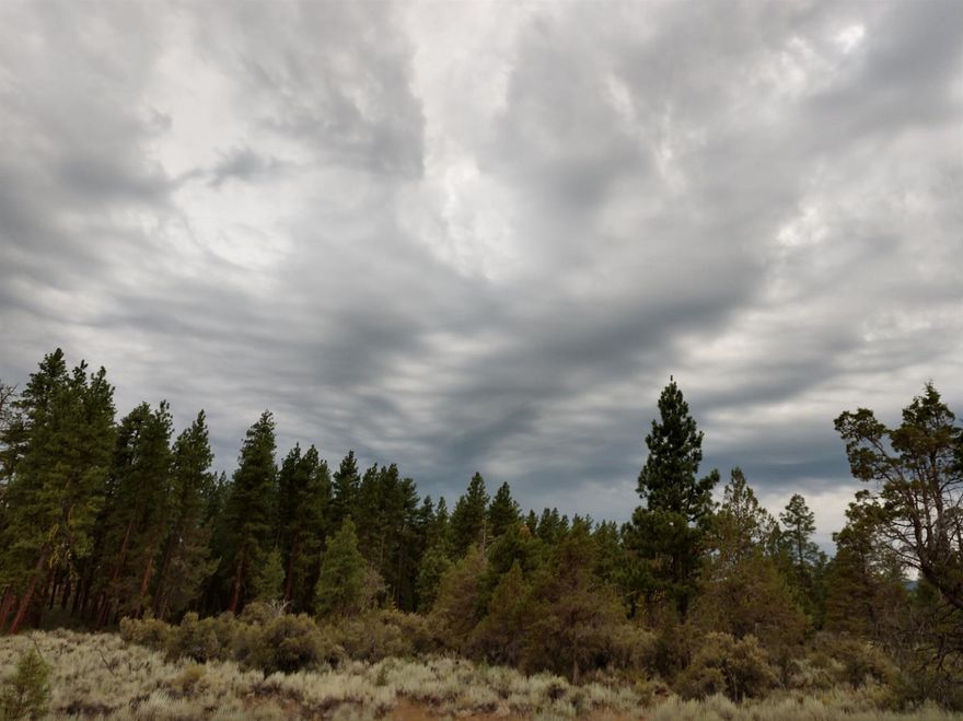Nice private property with views of the Sprague River Valley. Plenty of trees with nice open spaces for livestock grazing and solar setups. Power is located at Bliss Road with access via easement if one chooses to bring it in. Property has a caped well and septic approval. Great place to build your county cabin/farm setup.