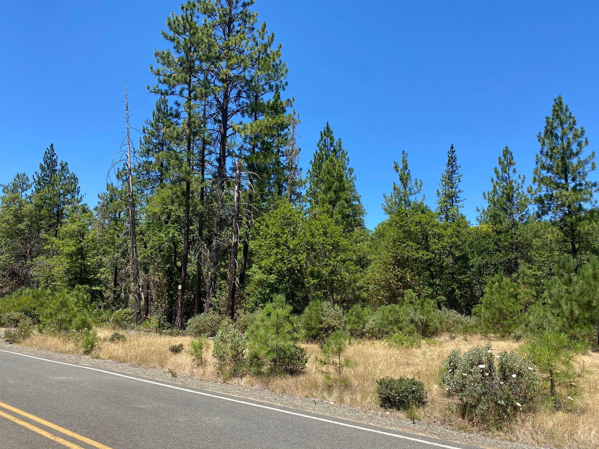 Delaree Country Estates - Land