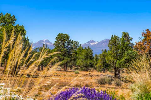 Tiny photo for 11474 Jubel Court, Redmond, OR 97756 (MLS # 220226302)