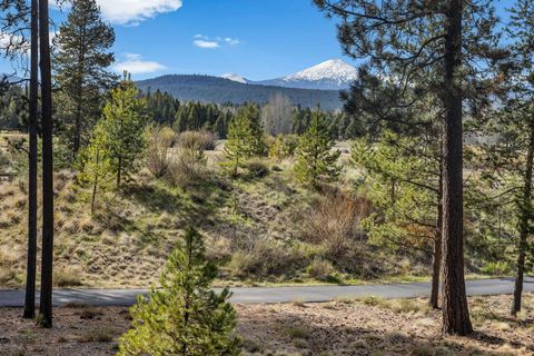 Tiny photo for 56373 Trailmere Circle, Bend, OR 97707 (MLS # 220219693)