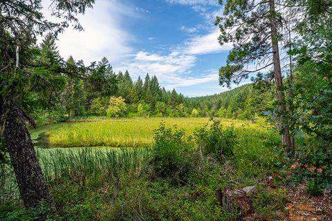 Tiny photo for 44335 Crater Lake Highway, Prospect, OR 97536 (MLS # 220209097)