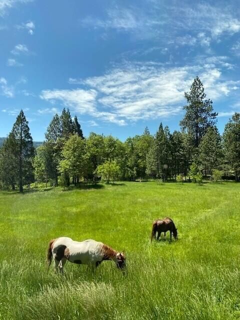 Tiny photo for 44335 Crater Lake Highway, Prospect, OR 97536 (MLS # 220209097)