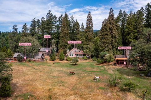 Tiny photo for 44335 Crater Lake Highway, Prospect, OR 97536 (MLS # 220209097)