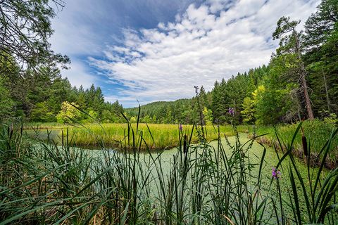 Tiny photo for 44335 Crater Lake Highway, Prospect, OR 97536 (MLS # 220209097)