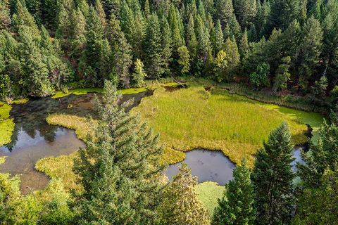Tiny photo for 44335 Crater Lake Highway, Prospect, OR 97536 (MLS # 220209097)