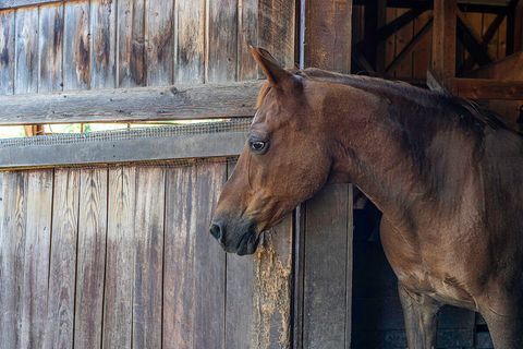 Tiny photo for 44335 Crater Lake Highway, Prospect, OR 97536 (MLS # 220209097)