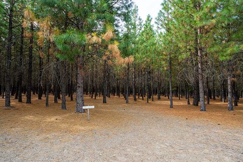 Tiny photo for 44335 Crater Lake Highway, Prospect, OR 97536 (MLS # 220209097)