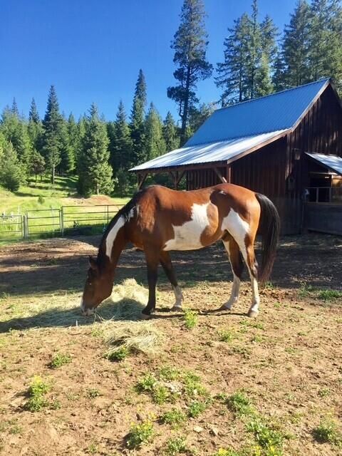 Tiny photo for 44335 Crater Lake Highway, Prospect, OR 97536 (MLS # 220209097)