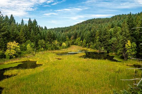 Tiny photo for 44335 Crater Lake Highway, Prospect, OR 97536 (MLS # 220209097)