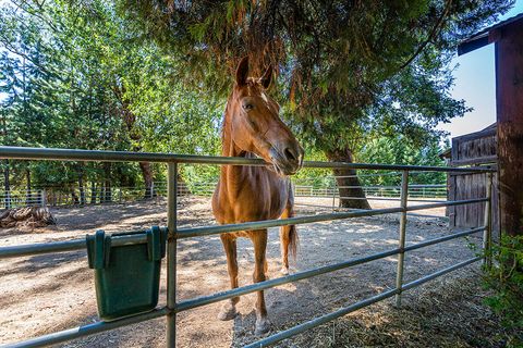 Tiny photo for 44335 Crater Lake Highway, Prospect, OR 97536 (MLS # 220209097)