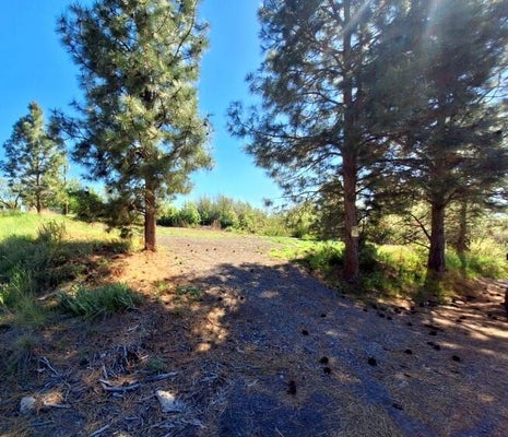 LODI ST, KLAMATH FALLS, OR 97603 - Image 0f2cd4fb44659db5de886aeac0c9c4d3/3447755086