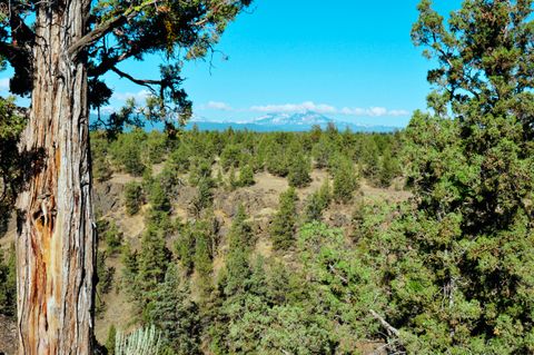 Tiny photo for 65255 Swalley Road, Bend, OR 97703 (MLS # 220207865)