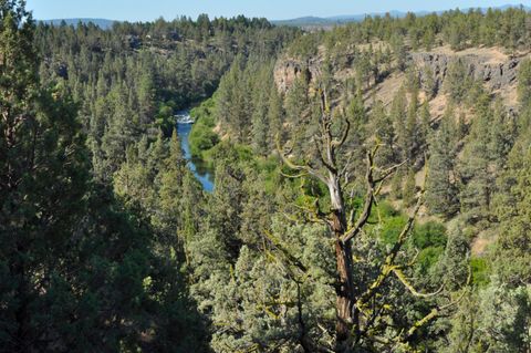 Tiny photo for 65255 Swalley Road, Bend, OR 97703 (MLS # 220207865)