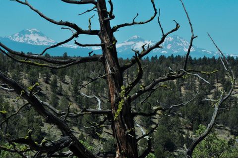 Tiny photo for 65255 Swalley Road, Bend, OR 97703 (MLS # 220207865)