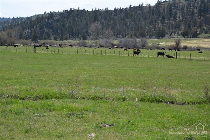 The Circle X ranch in the McKay creek valley. Two very nice homes, Barn and outbuildings , this small Ranch features 24 acres of flood irrigation from McKay creek, Juniper and Pine Timbered hills that connect to the Ochoco National forest. Great Hunting for Deer and Elk. Don't miss this chance to call the Circle X ranch home. 474s acre 24 irrigated acres Access to Ochoco National Forest Timber land Land Owner Preference tags Big game hunting