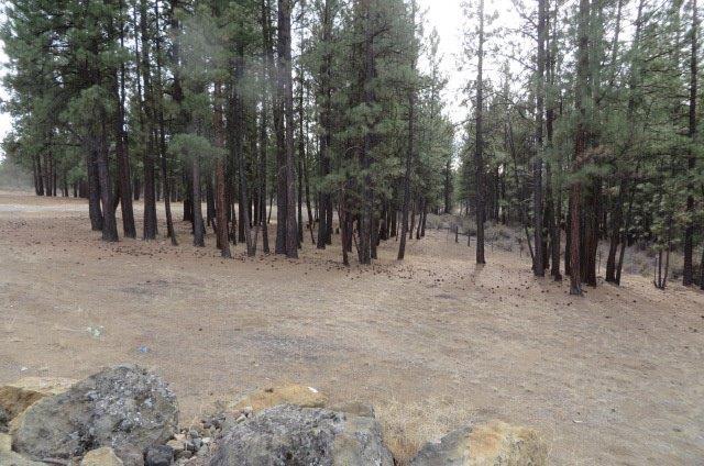 Klamath Forest Estates - Residential