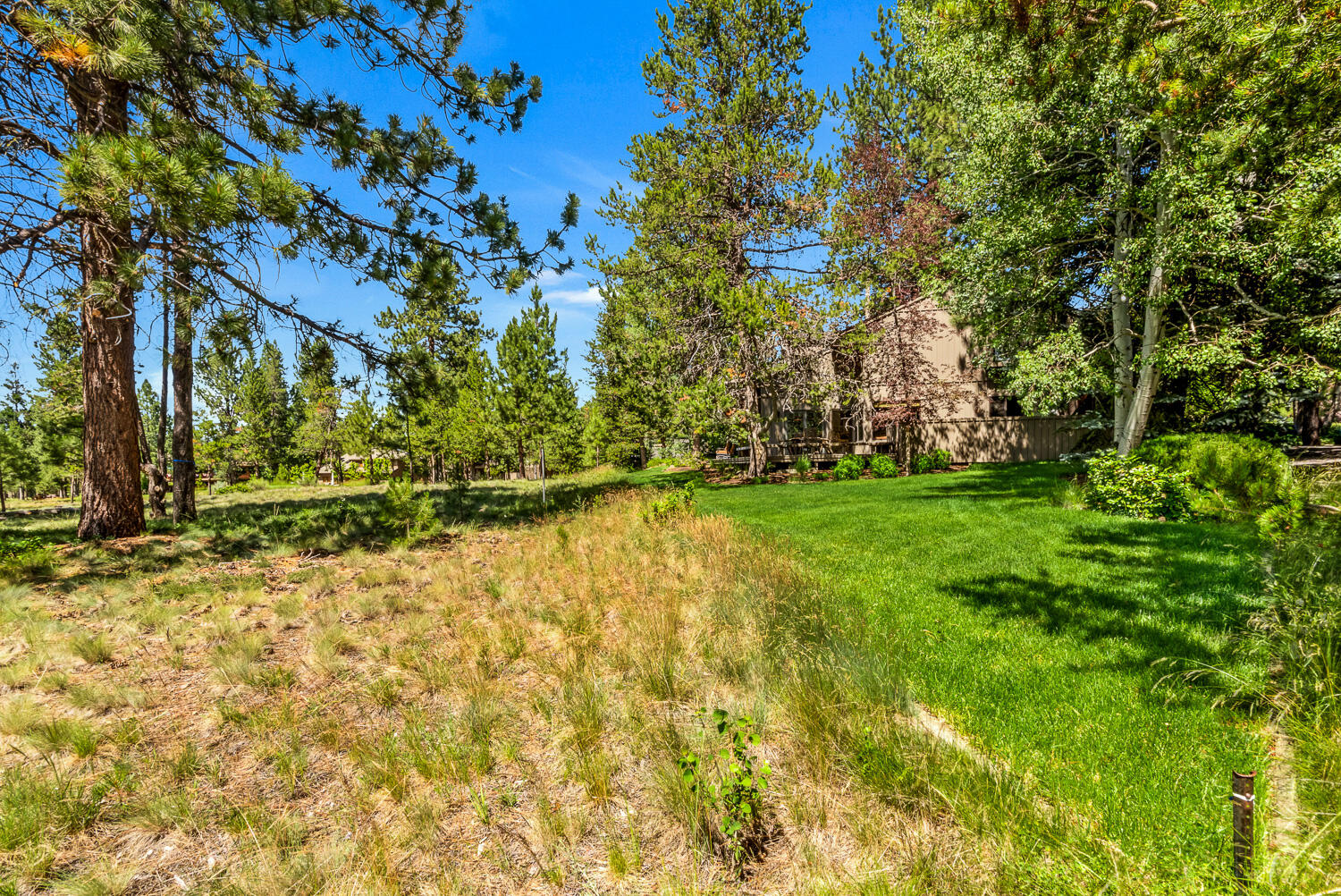 Fairway Point Villag - Residential