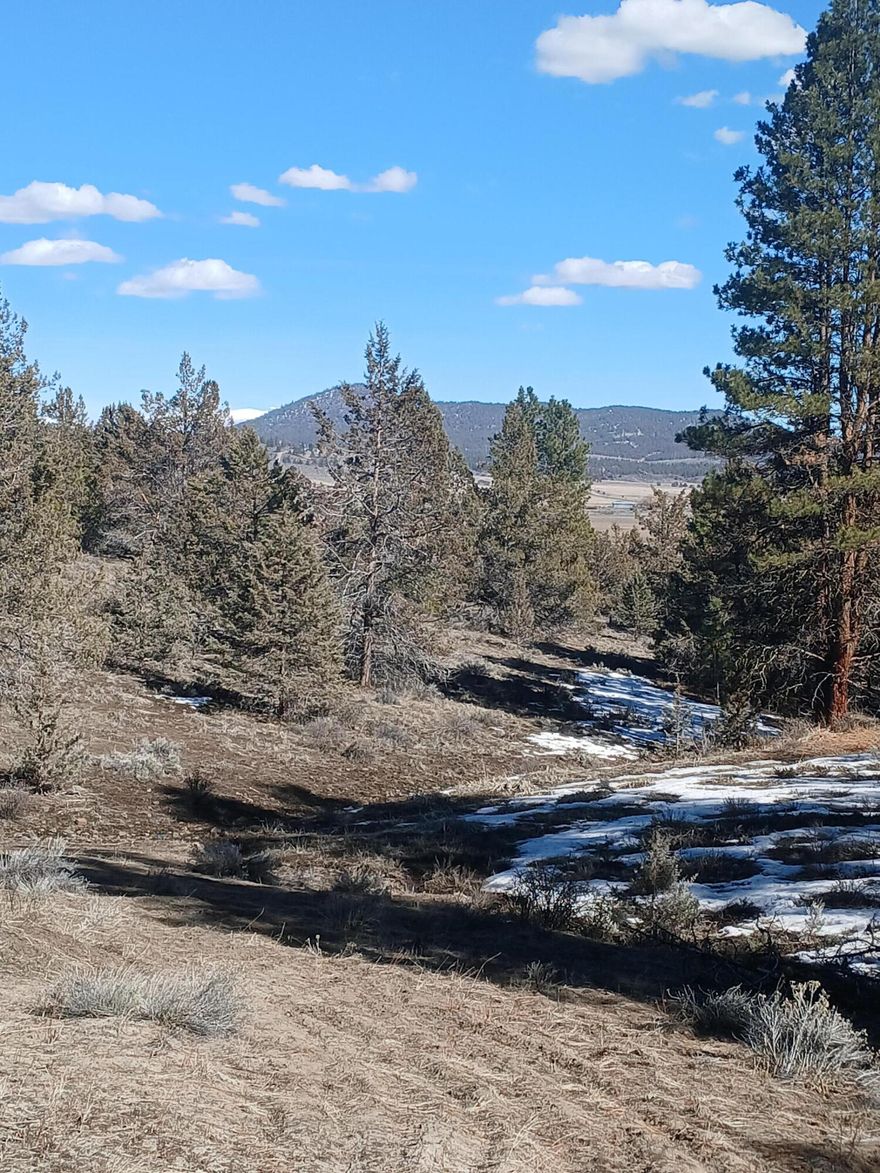 Secluded nicely wooded property with great views of the Beatty valley. Close to main road with good access. Located near BLM lands w/ unlimited outdoor recreational opportunities, including excellent hunting & fishing. Elk presence on property. Buildable with a Conditional Use Permit. 4 wheel drive recommended. Use GPS apps such as onX Hunt to locate.