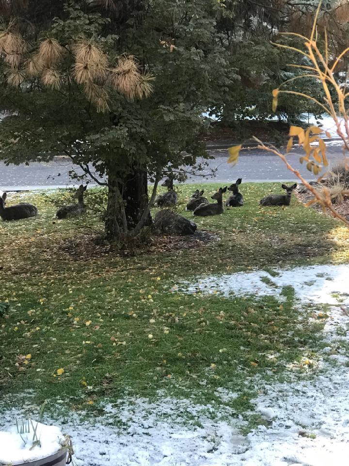 Awbrey Butte - Residential