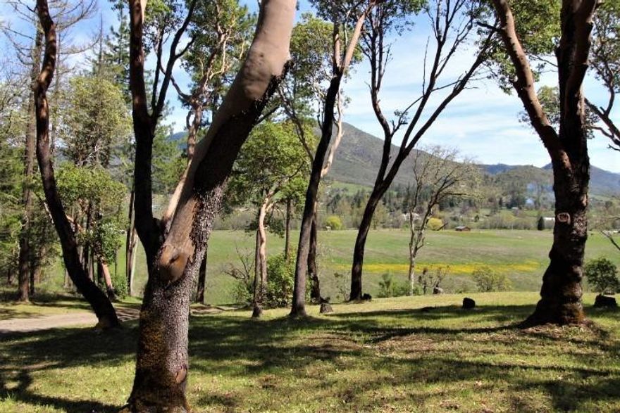 Spectacular river views from this charming country home; overlook your horses with plenty of pasture for grazing and hobby farming. 5 stall horse barn with tack room has it all. Huge equipment barn to store all your agricultural needs. This property has some of the oldest water rights in the valley with in-ground irrigation. Easy river access for summer swimming, fishing and floating. The home features 3bd, 2bth split floor plan with patio out living room slider, amazing views of the Applegate River and snow capped peaks of the Siskiyou mountains. Close to the Applegate Wine Trail and the historic town of Jacksonville.