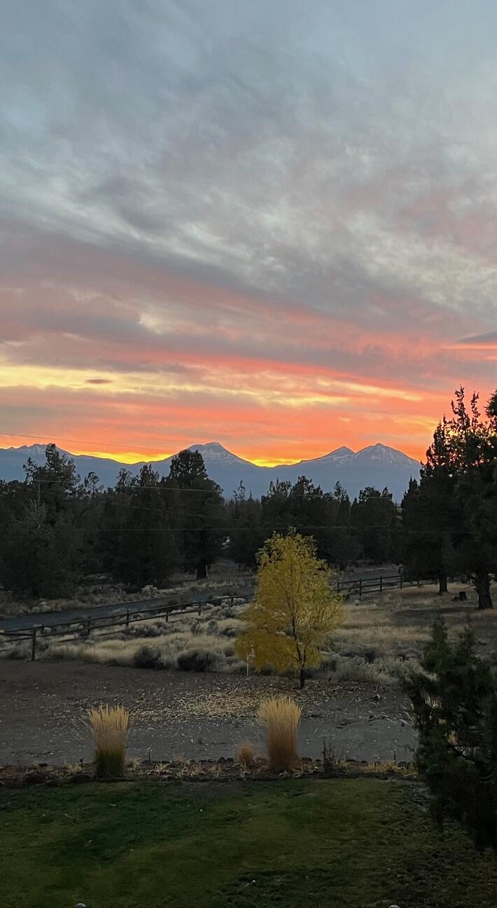 McKenzie Estates - Residential